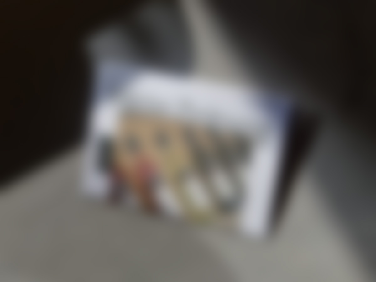 Hiden_WZ_Titelseite_1200x900_sh_blur